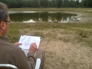 landschap schetsen natuur, cursus Liesbeth Verhoeven